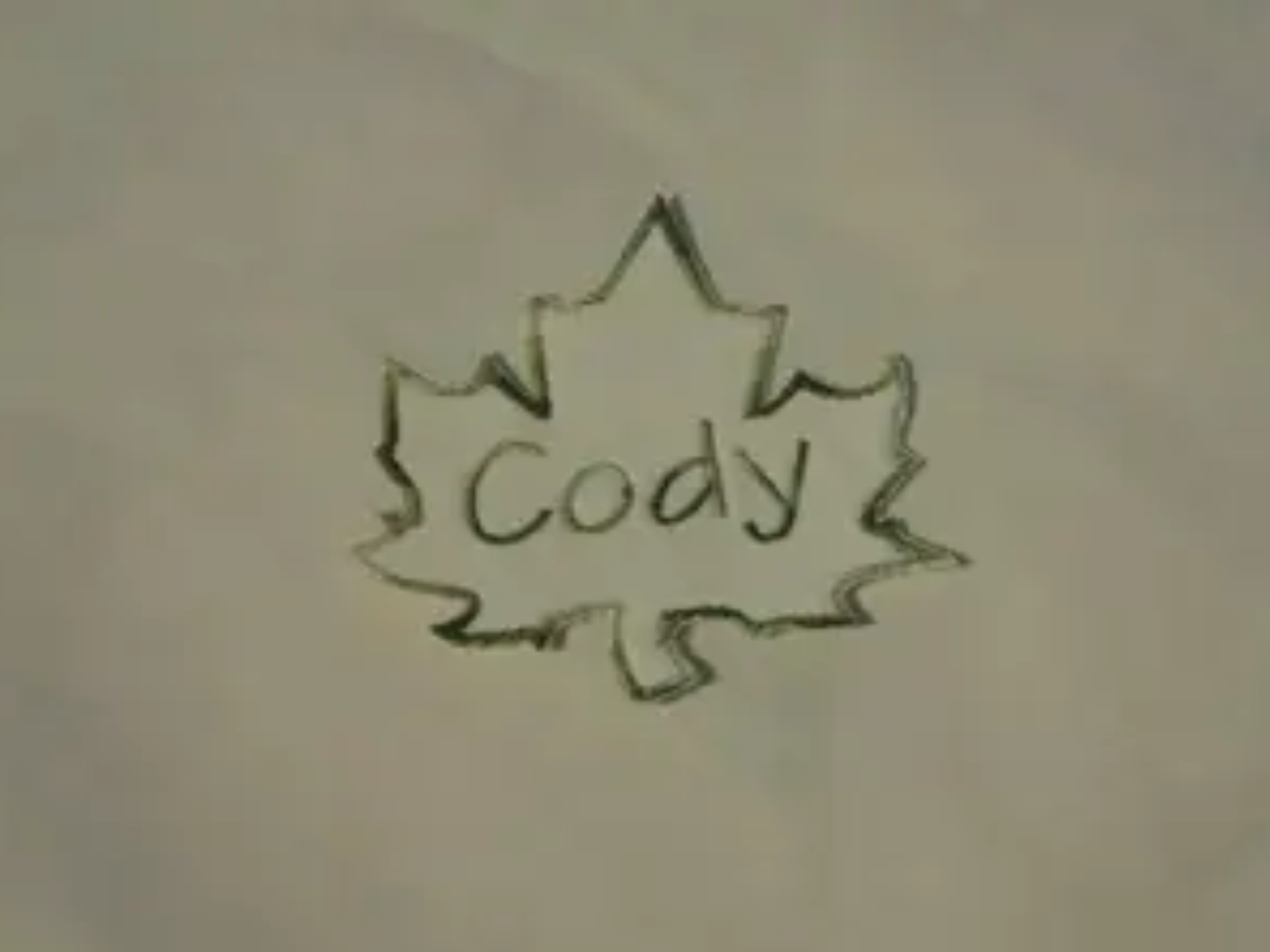 Maple Leaf Iron On Name Patch Custom Embroidered Sew on Patch Leaf Patch Monogrammed