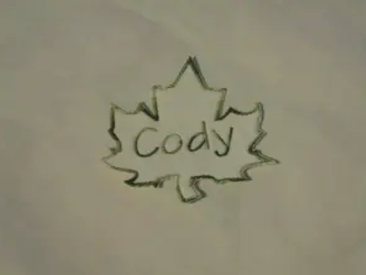 Maple Leaf Iron On Name Patch Custom Embroidered Sew on Patch Leaf Patch Monogrammed